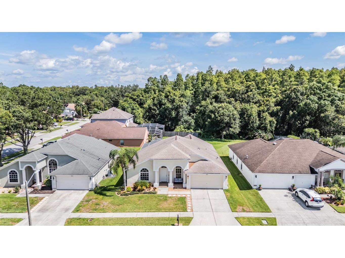 18143 Palm Breeze Drive Tampa FL 33647 TB8414058 image39