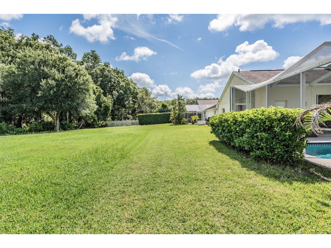 18143 Palm Breeze Drive Tampa FL 33647 TB8414058 image42