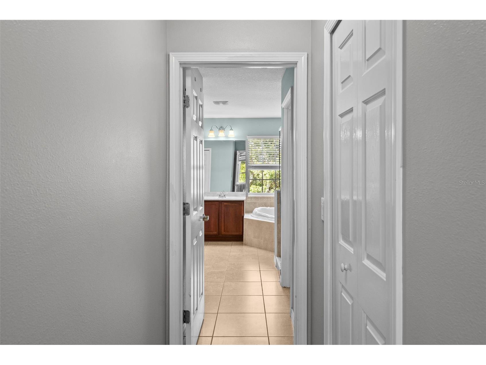 18146 Bahama Bay Drive Tampa FL 33647 TB8498629 image23