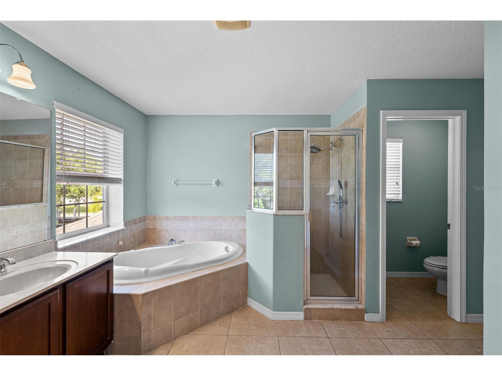 18146 Bahama Bay Drive Tampa FL 33647 TB8498629 image25