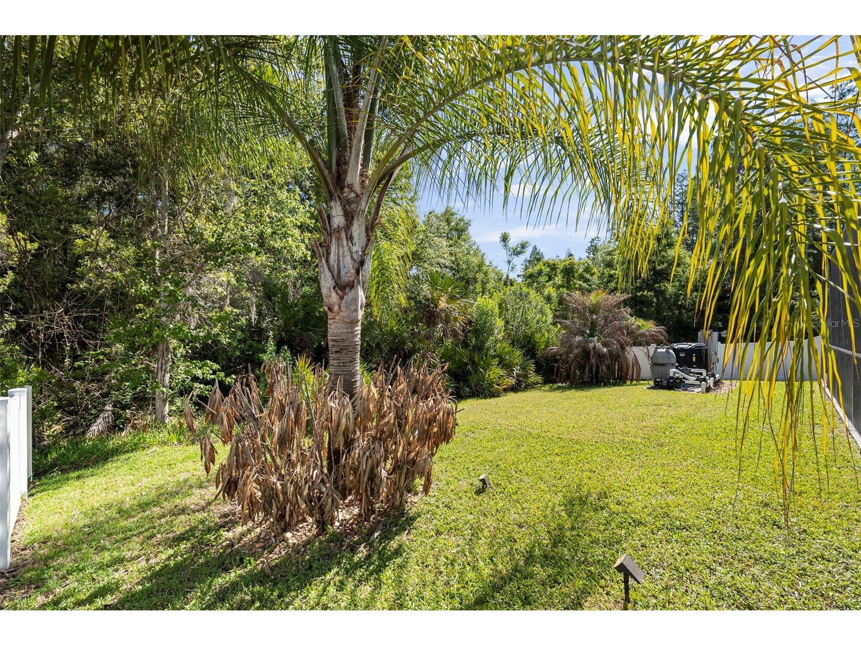 18146 Bahama Bay Drive Tampa FL 33647 TB8498629 image37