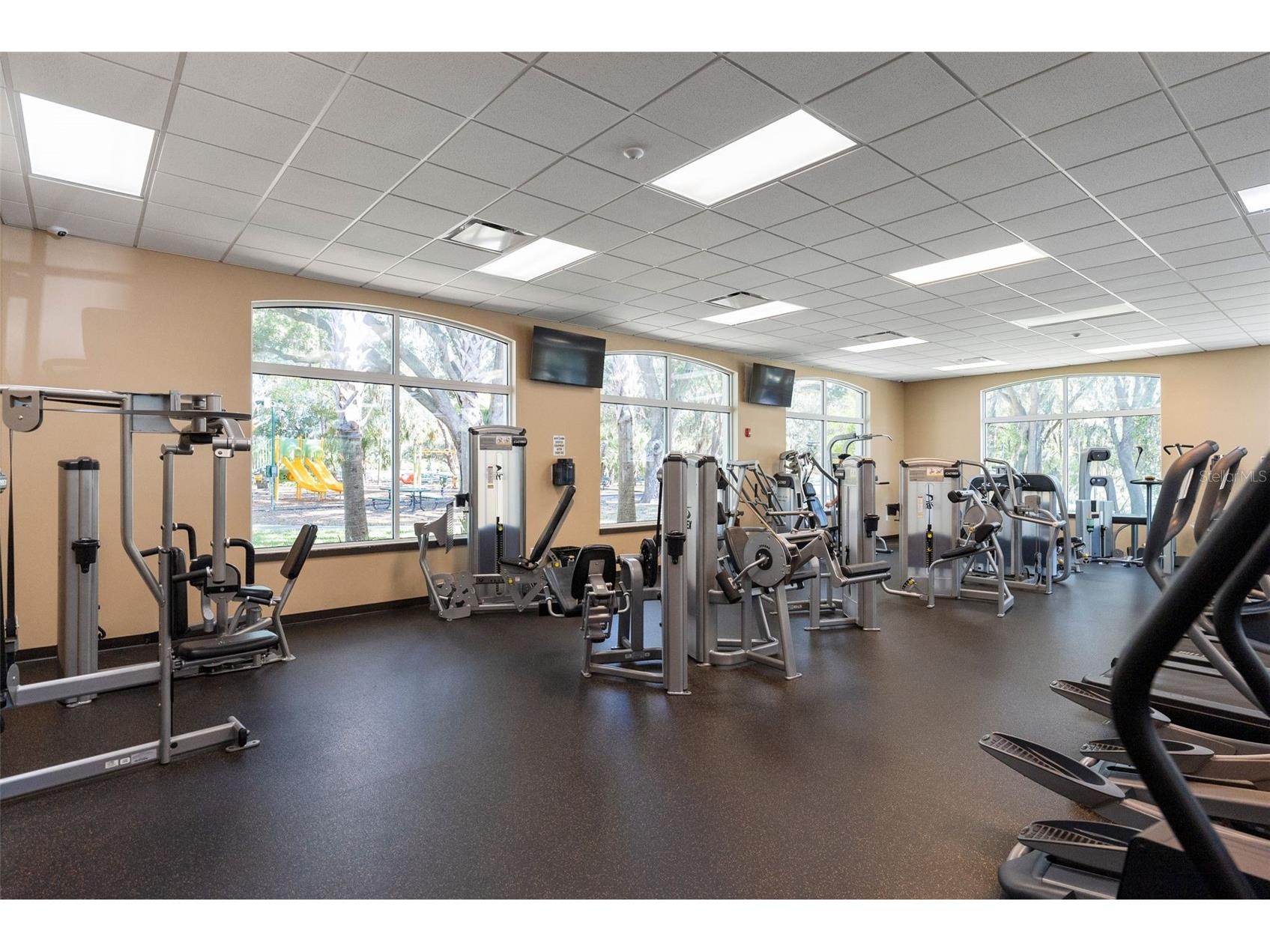 18146 Bahama Bay Drive Tampa FL 33647 TB8498629 image49