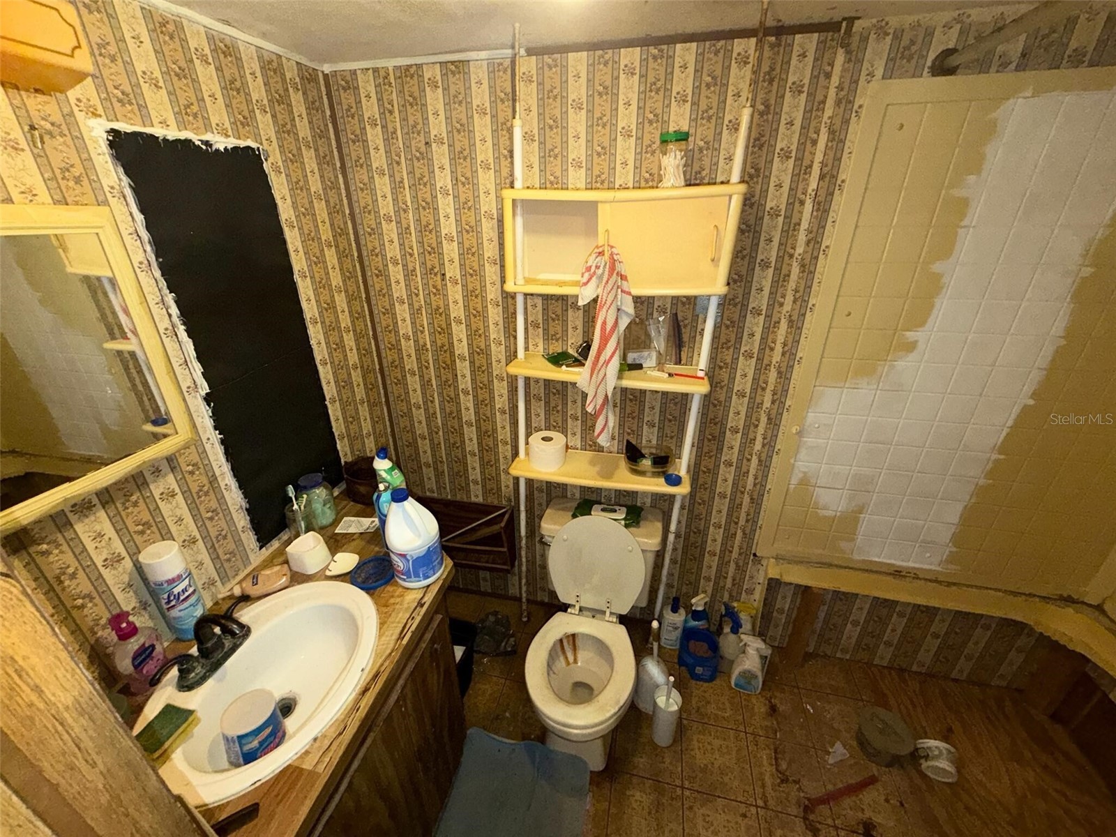 18146 Evening Star Avenue Brooksville FL 34604 O6406050 image19