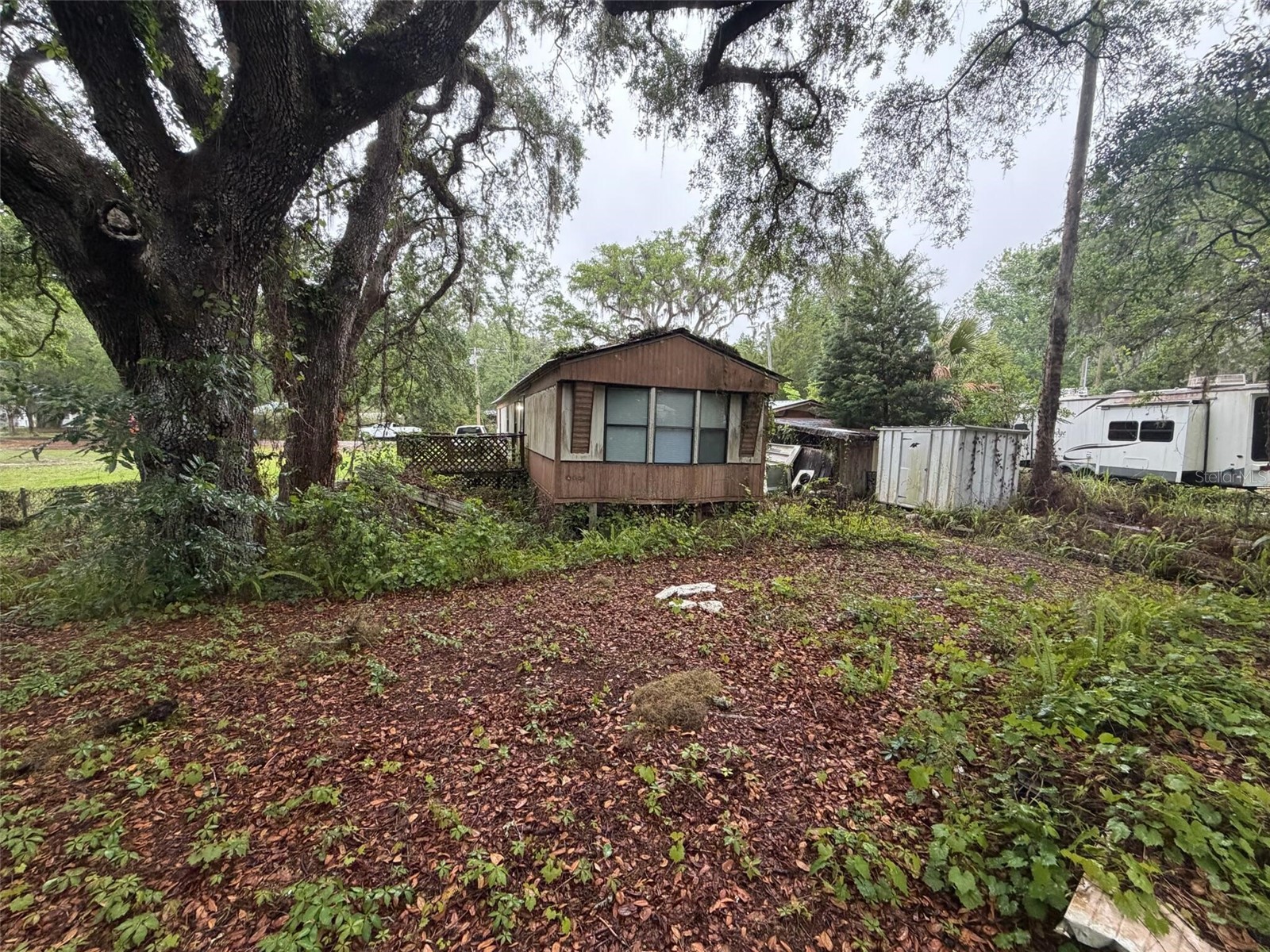 18146 Evening Star Avenue Brooksville FL 34604 O6406050 image6