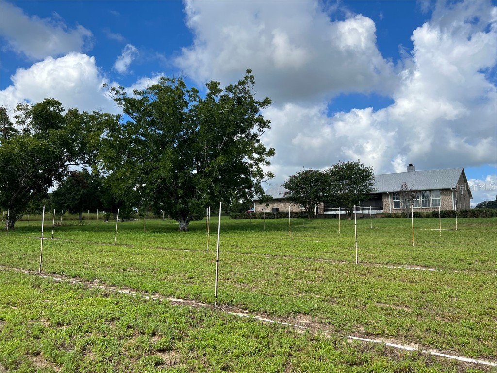 1815 Adams Barn Road Lake Alfred FL 33850 O6337881 image39