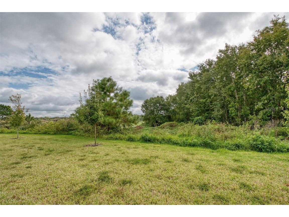 1815 Brentwood Court Davenport FL 33837 TB8445059 image45