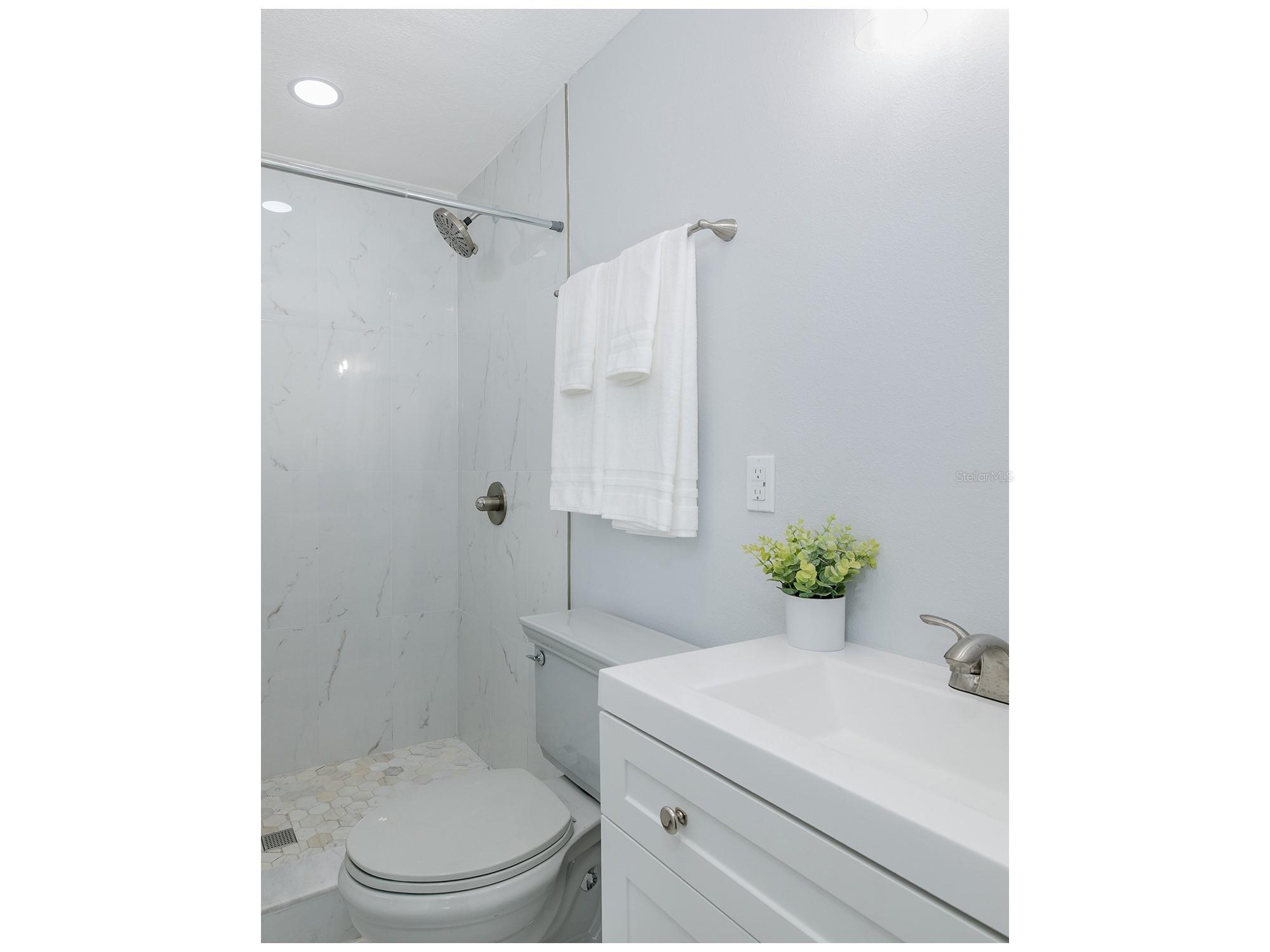 1815 Driftwood Circle S Oldsmar FL 34677 W7885693 image16