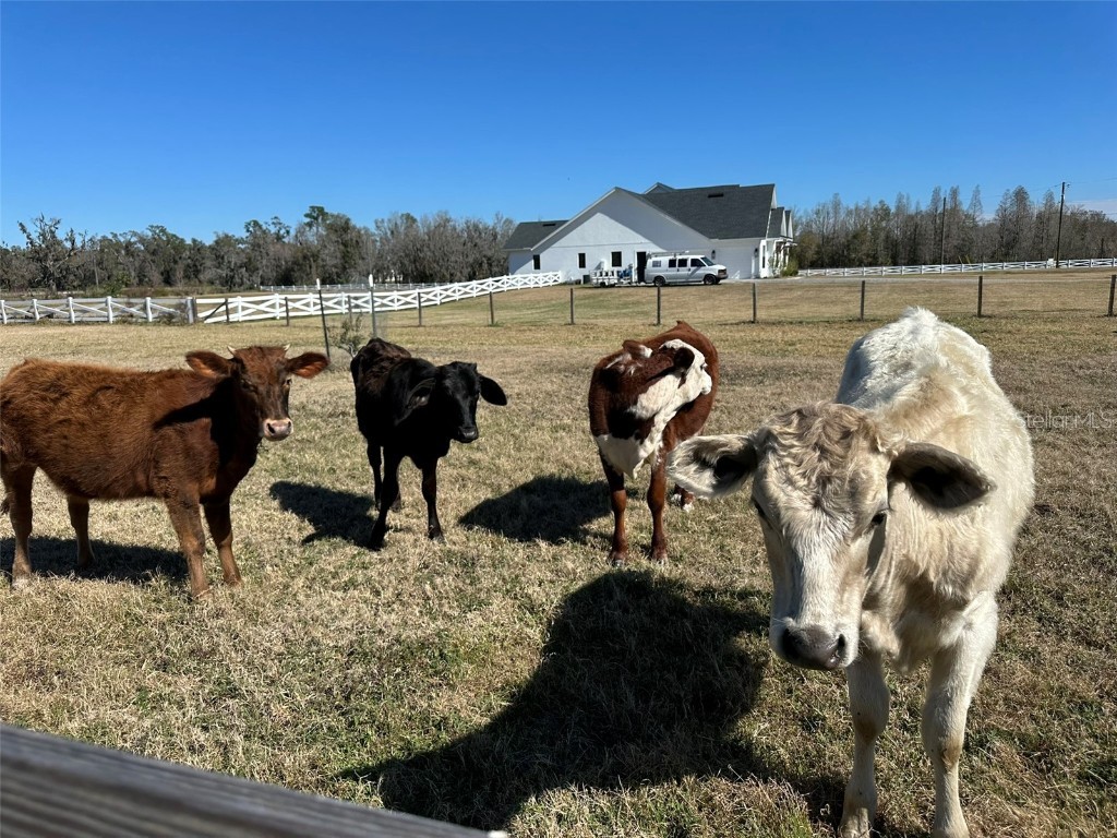 1815 Ewell Road Lakeland FL 33811 TB8445165 image20