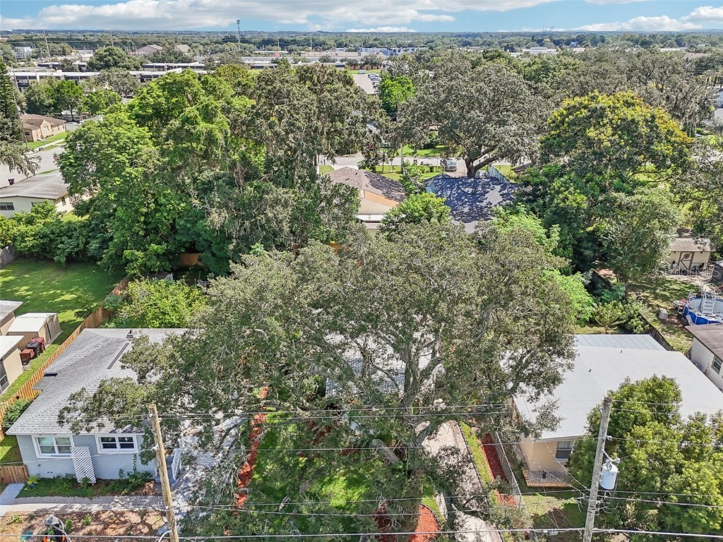 1815 Larkin Avenue Orlando FL 32812 O6247283 image44