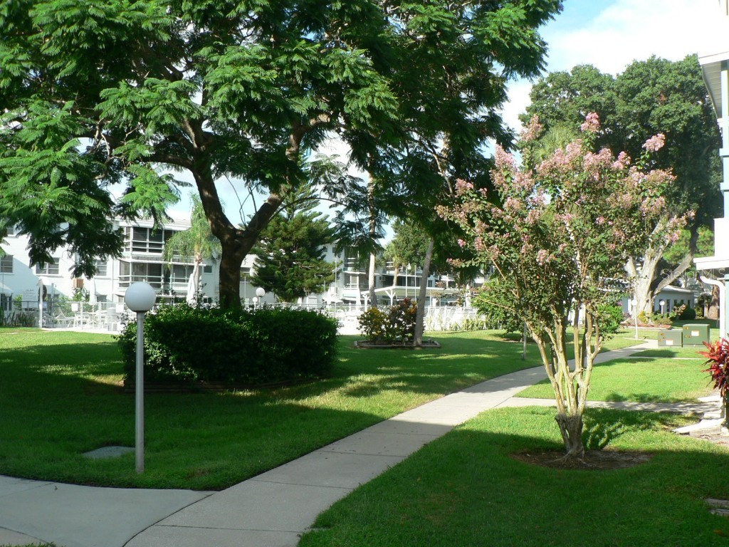 1815 Restful Drive #N-27 Bradenton FL 34207 A4645771 image22