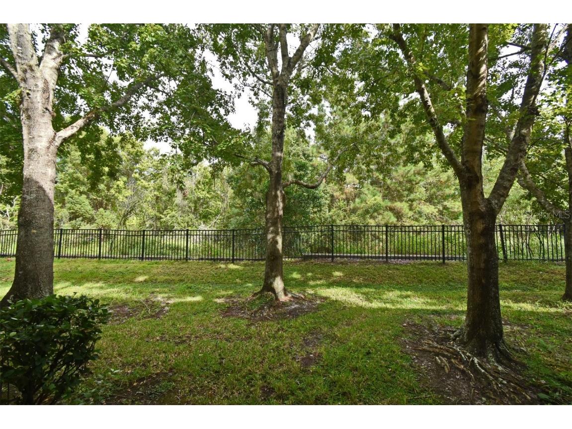 1815 Sunset Palm Drive Apopka FL 32712 O6354992 image29