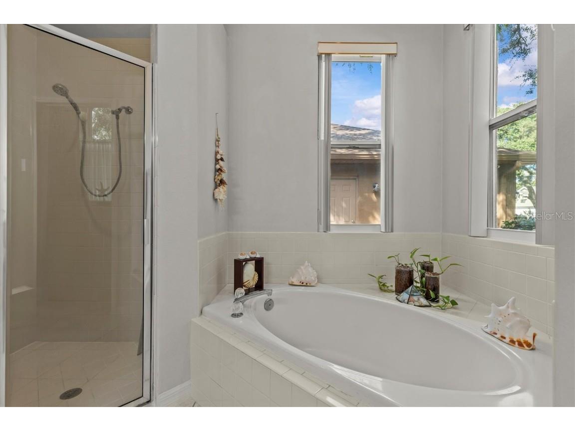 1815 Wood Trail Street Tarpon Springs FL 34689 TB8435844 image18