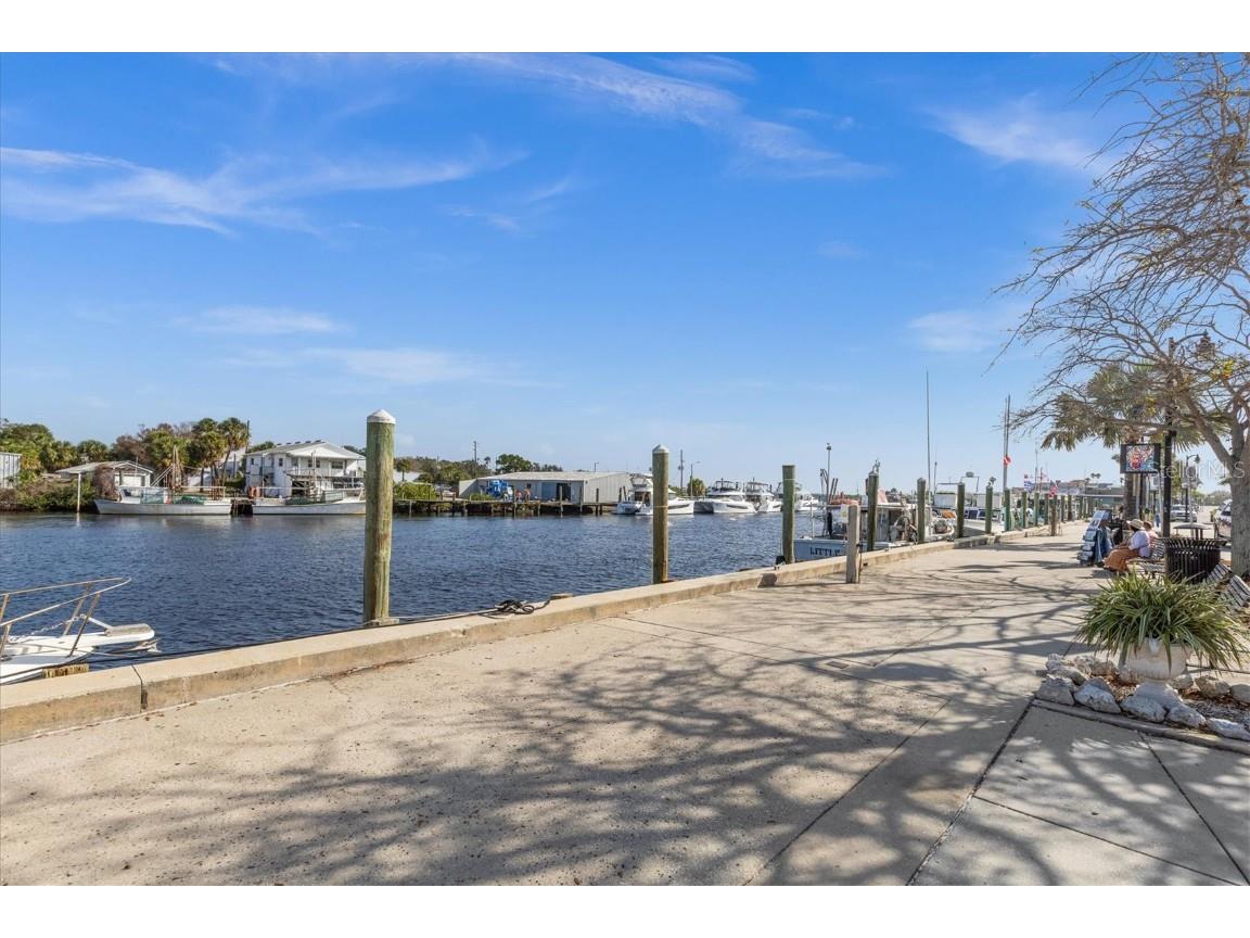 1815 Wood Trail Street Tarpon Springs FL 34689 TB8435844 image47