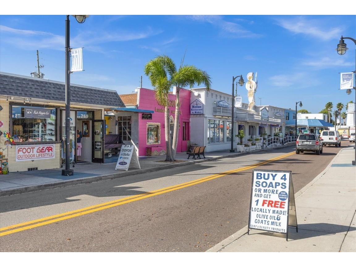 1815 Wood Trail Street Tarpon Springs FL 34689 TB8435844 image48