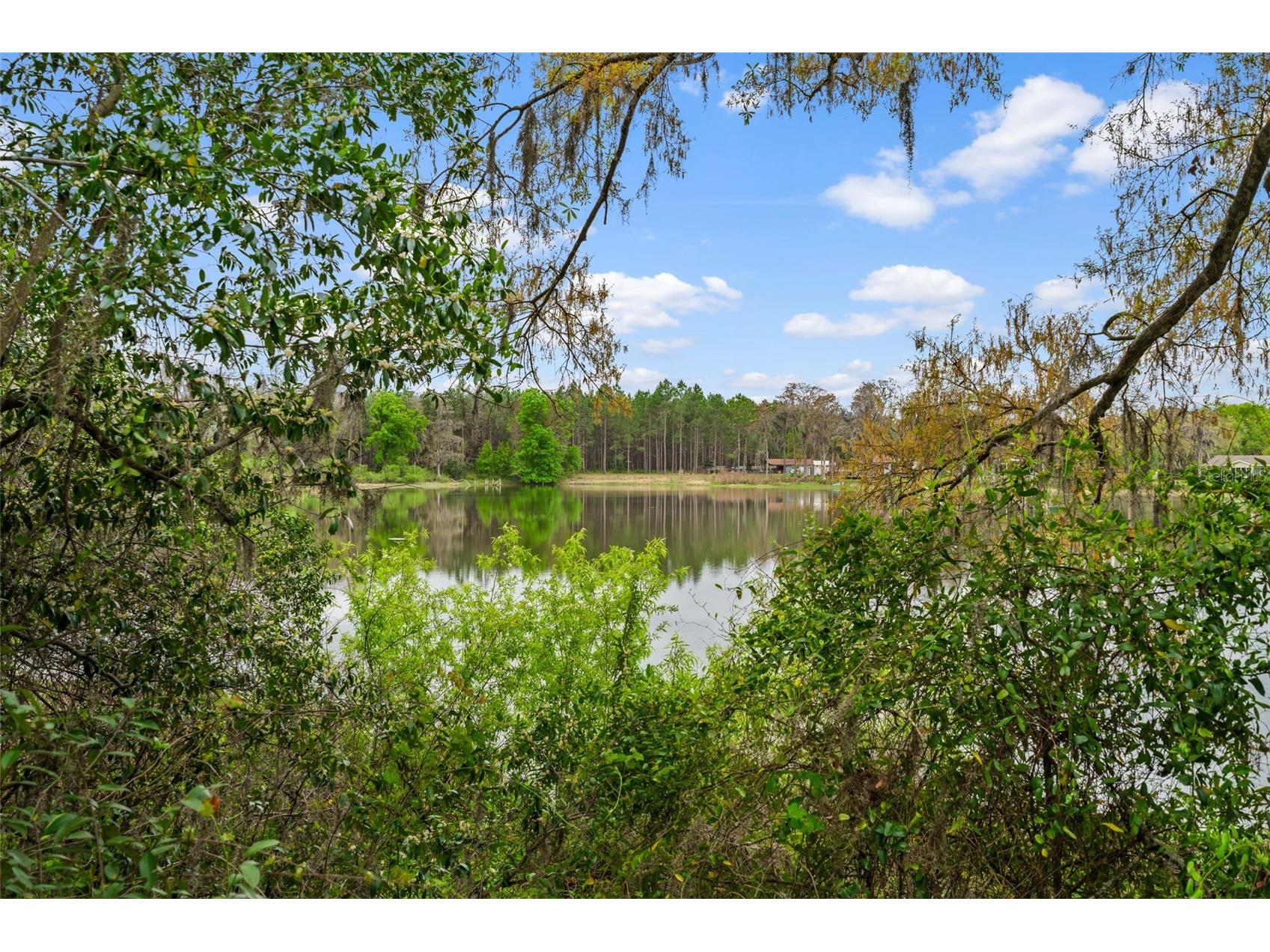 18150 Burrell Road Odessa FL 33556 - LAKE JACKSON TB8487138 image10