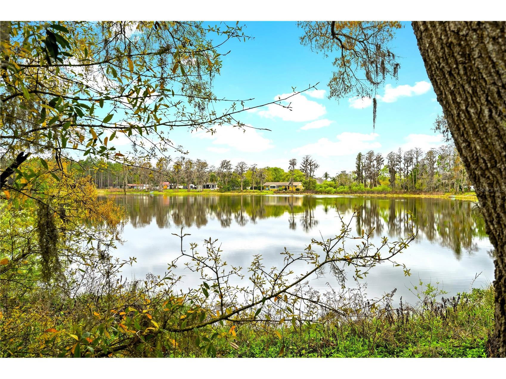 18150 Burrell Road Odessa FL 33556 - LAKE JACKSON TB8487138 image11