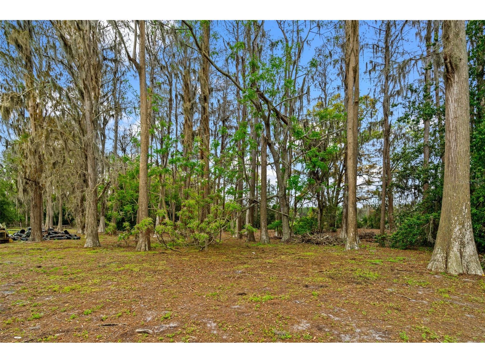 18150 Burrell Road Odessa FL 33556 - LAKE JACKSON TB8487138 image14