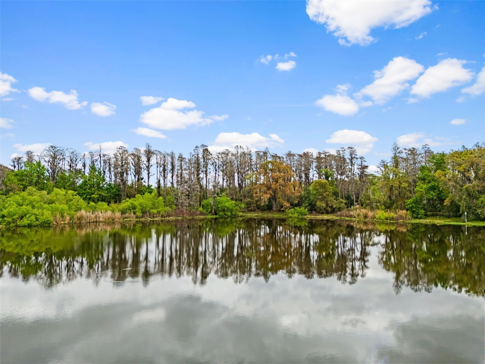 18150 Burrell Road Odessa FL 33556 - LAKE JACKSON TB8487138 image22