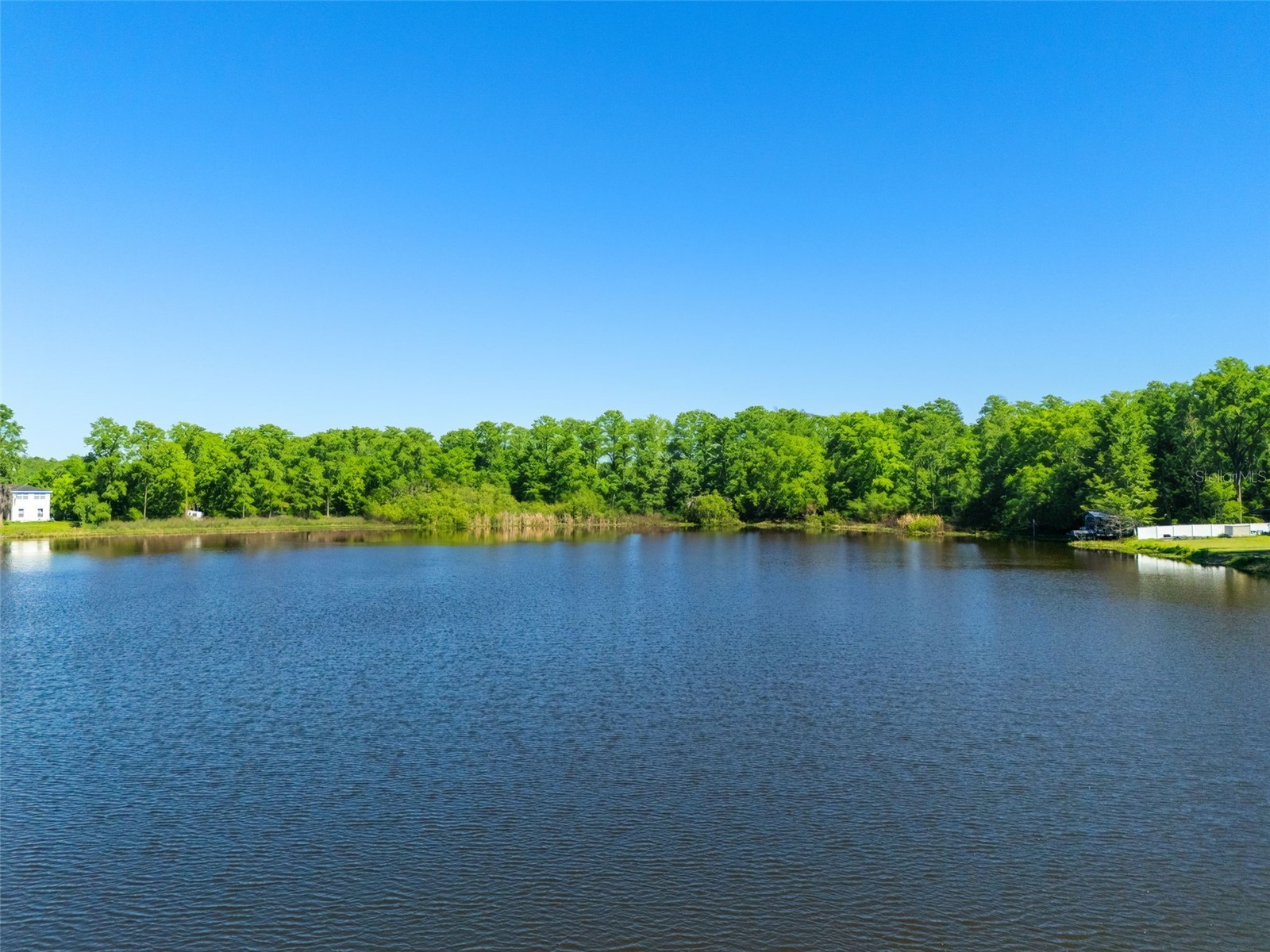 18150 Burrell Road Odessa FL 33556 - LAKE JACKSON TB8487138 image5
