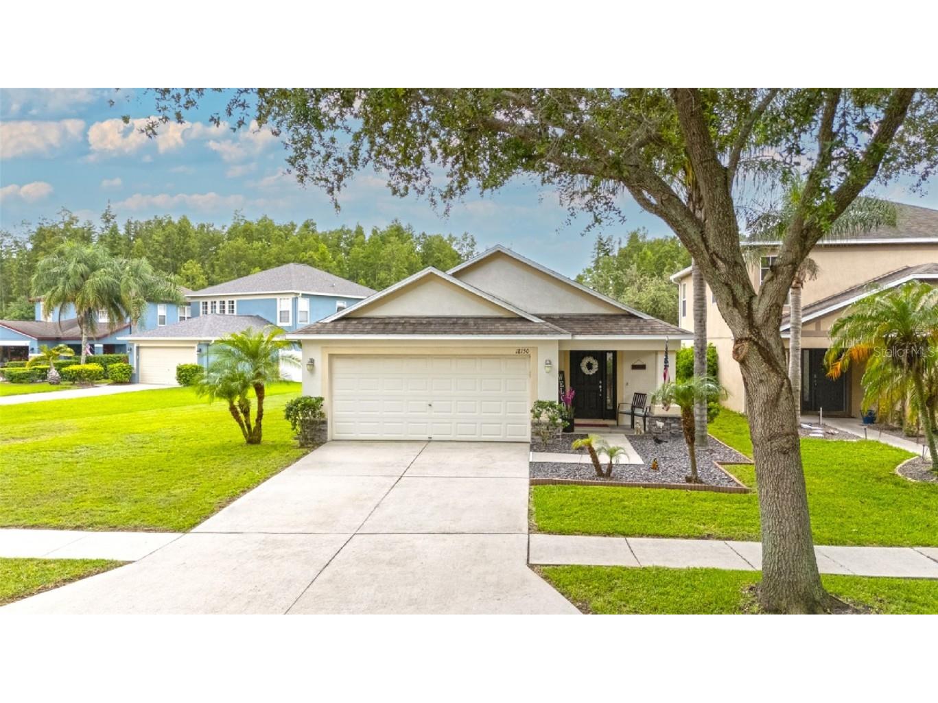 18150 Leamington Lane Land O Lakes FL 34638 TB8366597 image1