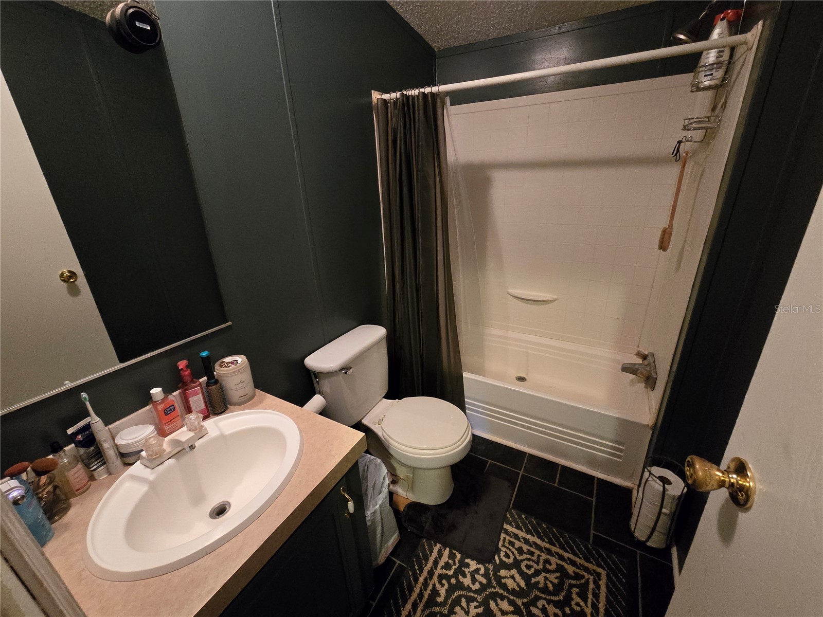 18151 Bosley Drive Spring Hill FL 34610 W7869620 image10