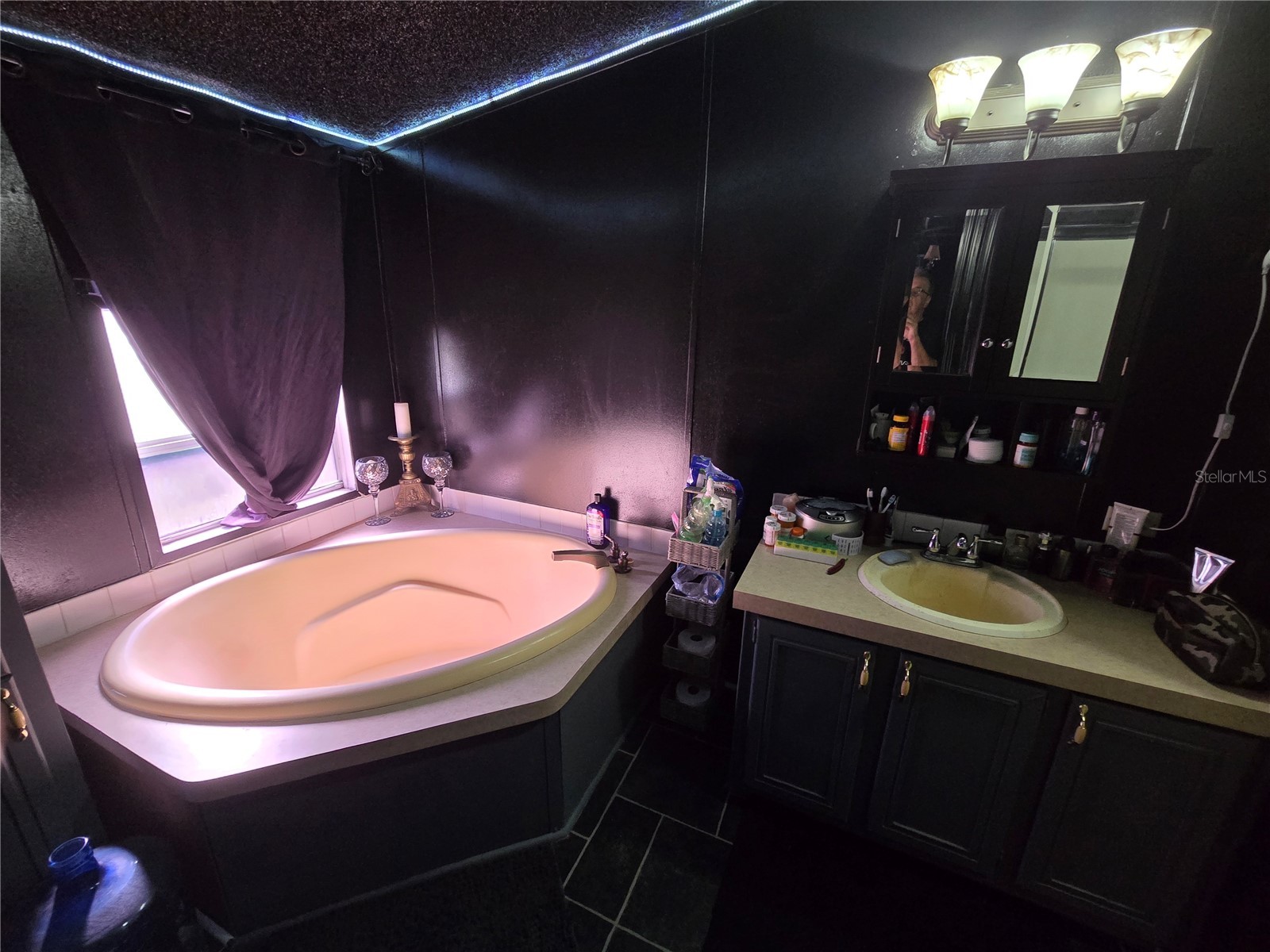 18151 Bosley Drive Spring Hill FL 34610 W7869620 image14