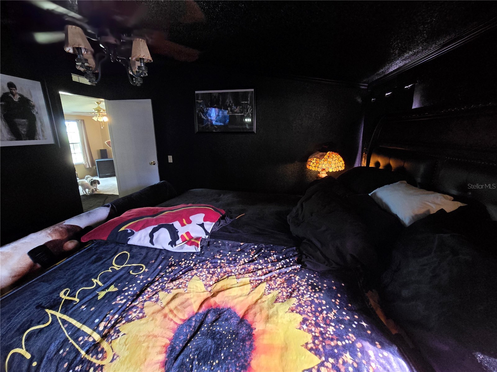 18151 Bosley Drive Spring Hill FL 34610 W7869620 image15