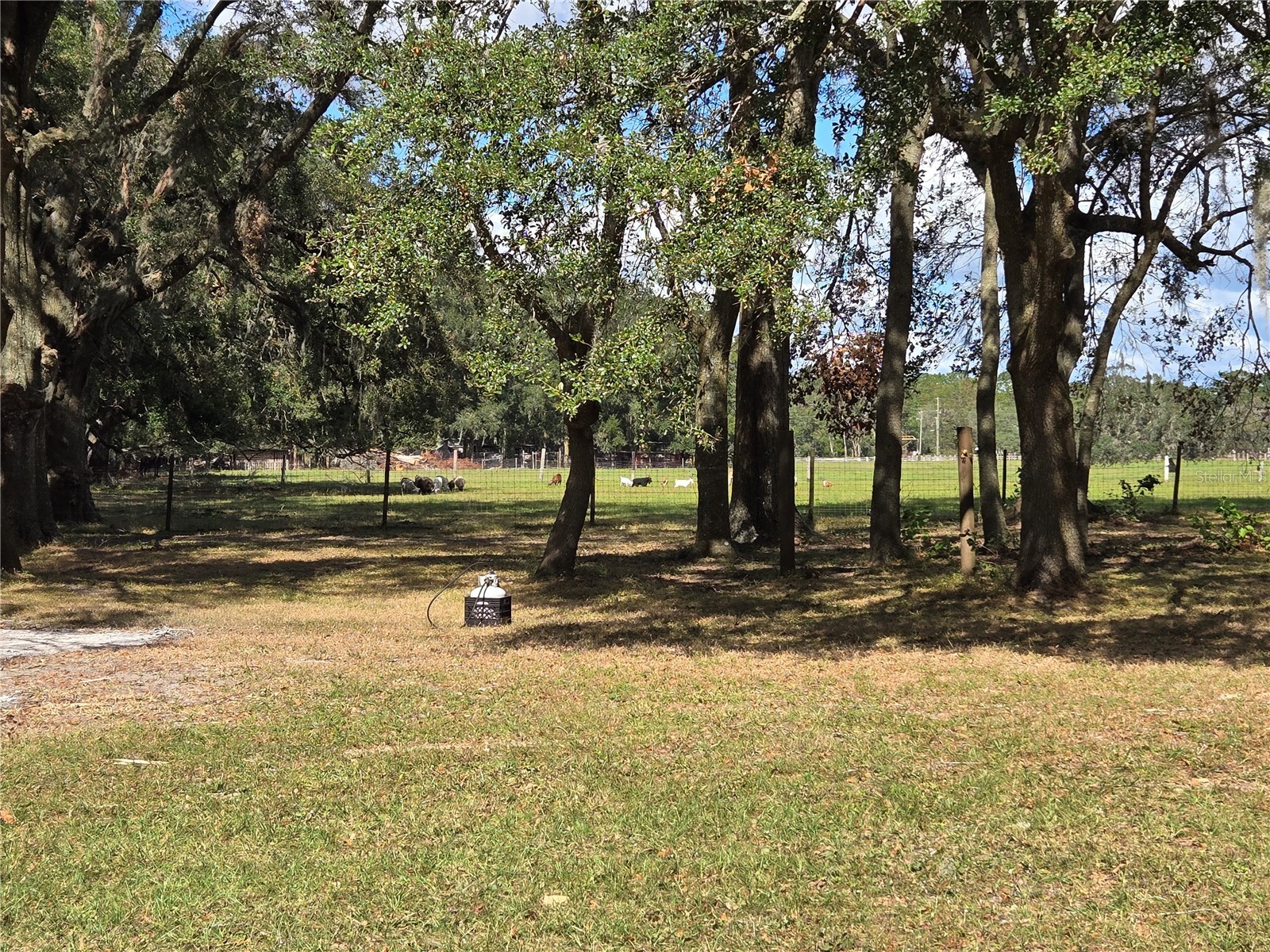 18151 Bosley Drive Spring Hill FL 34610 W7869620 image19