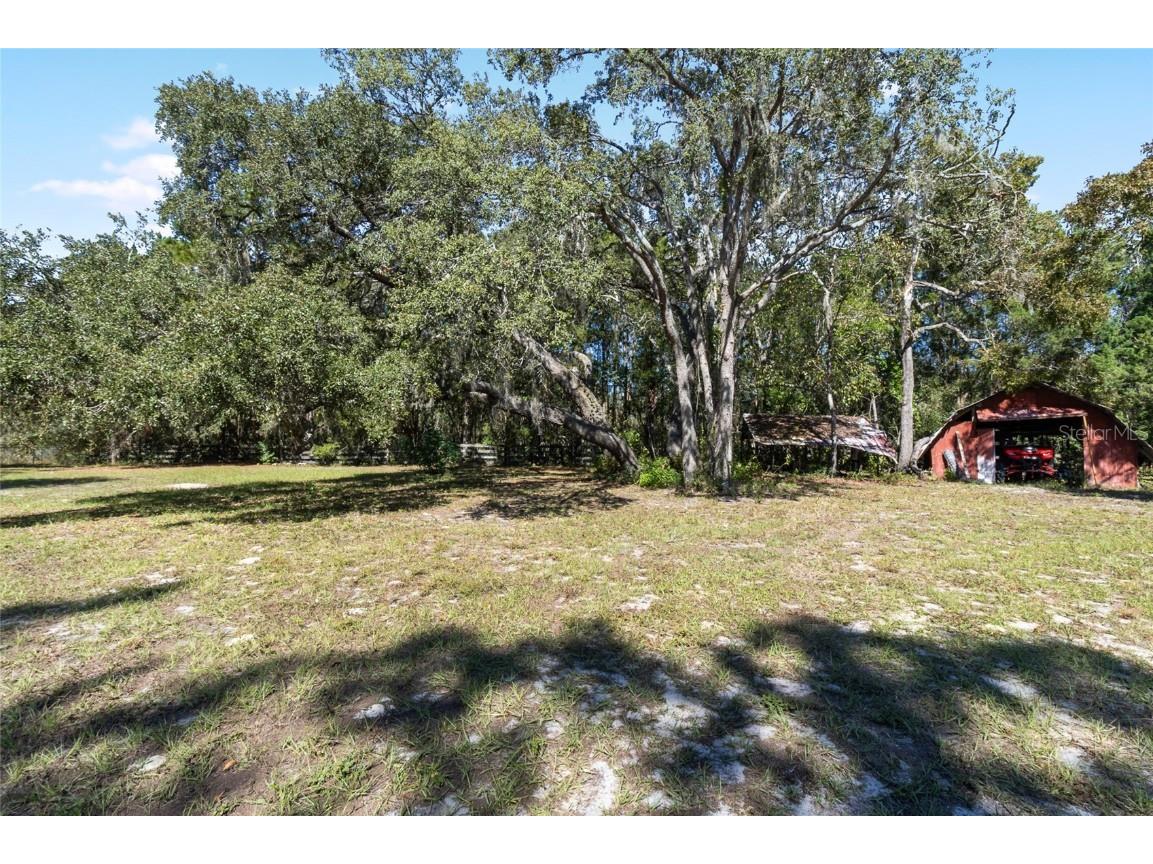 18155 Nelson Road Spring Hill FL 34610 TB8445110 image23