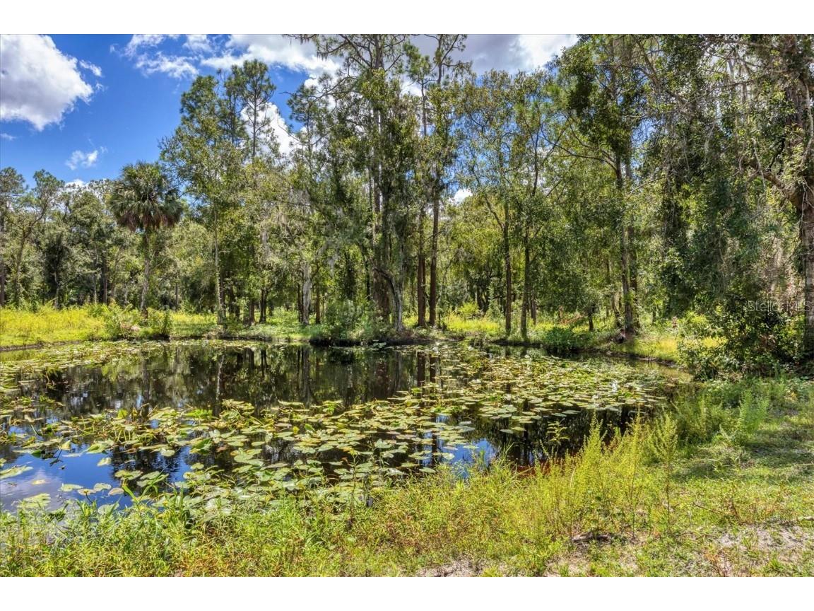 18155 Sr 62 Parrish FL 34219 A4663896 image53