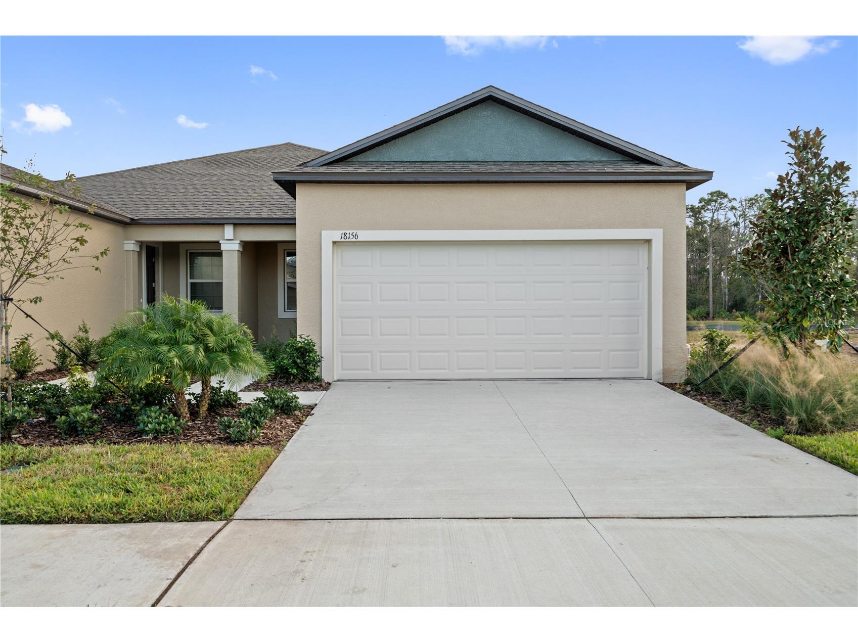 18156 Pleasantview Boulevard Land O Lakes FL 34638 TB8487116 image1