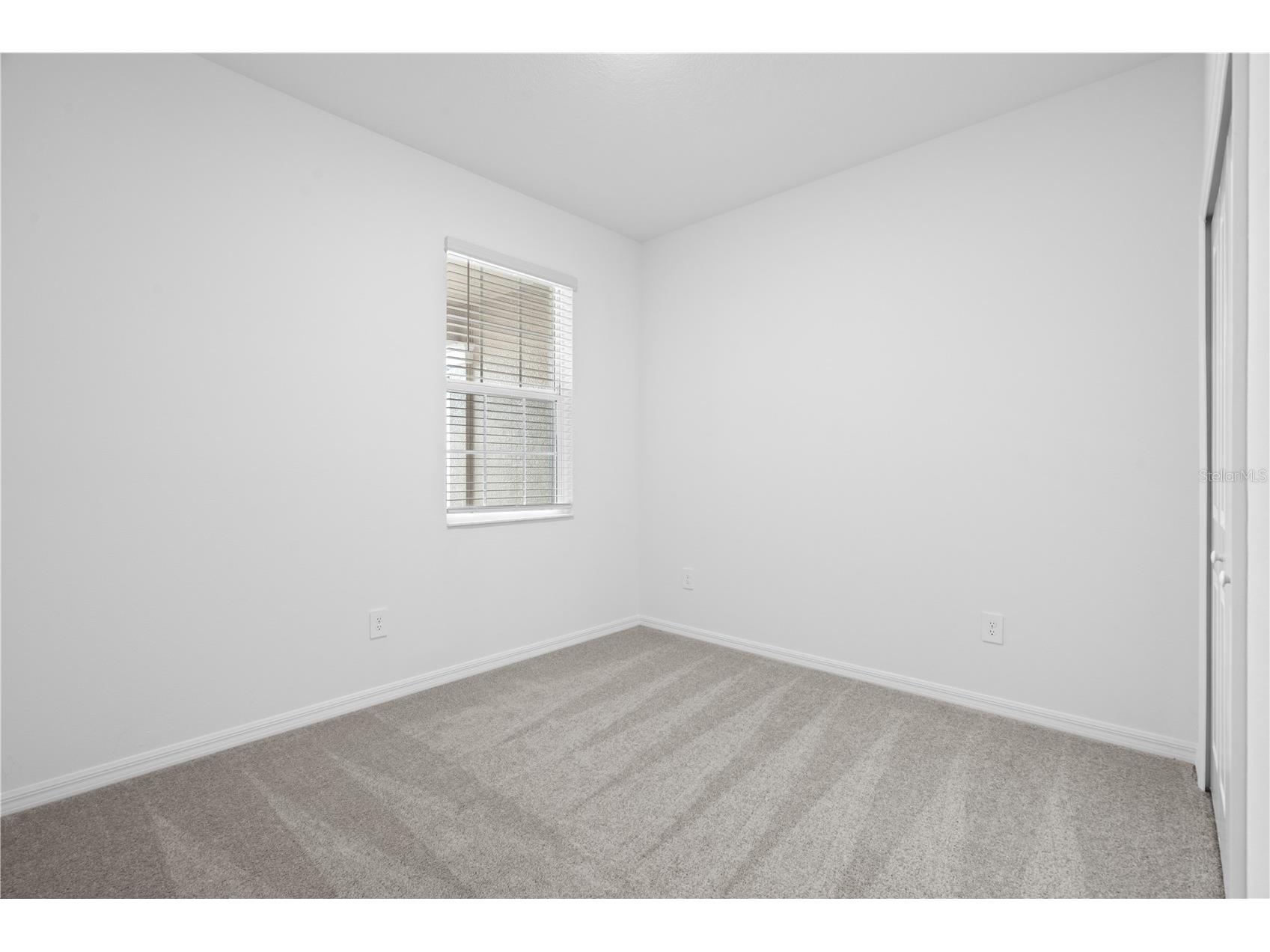 18156 Pleasantview Boulevard Land O Lakes FL 34638 TB8487116 image11