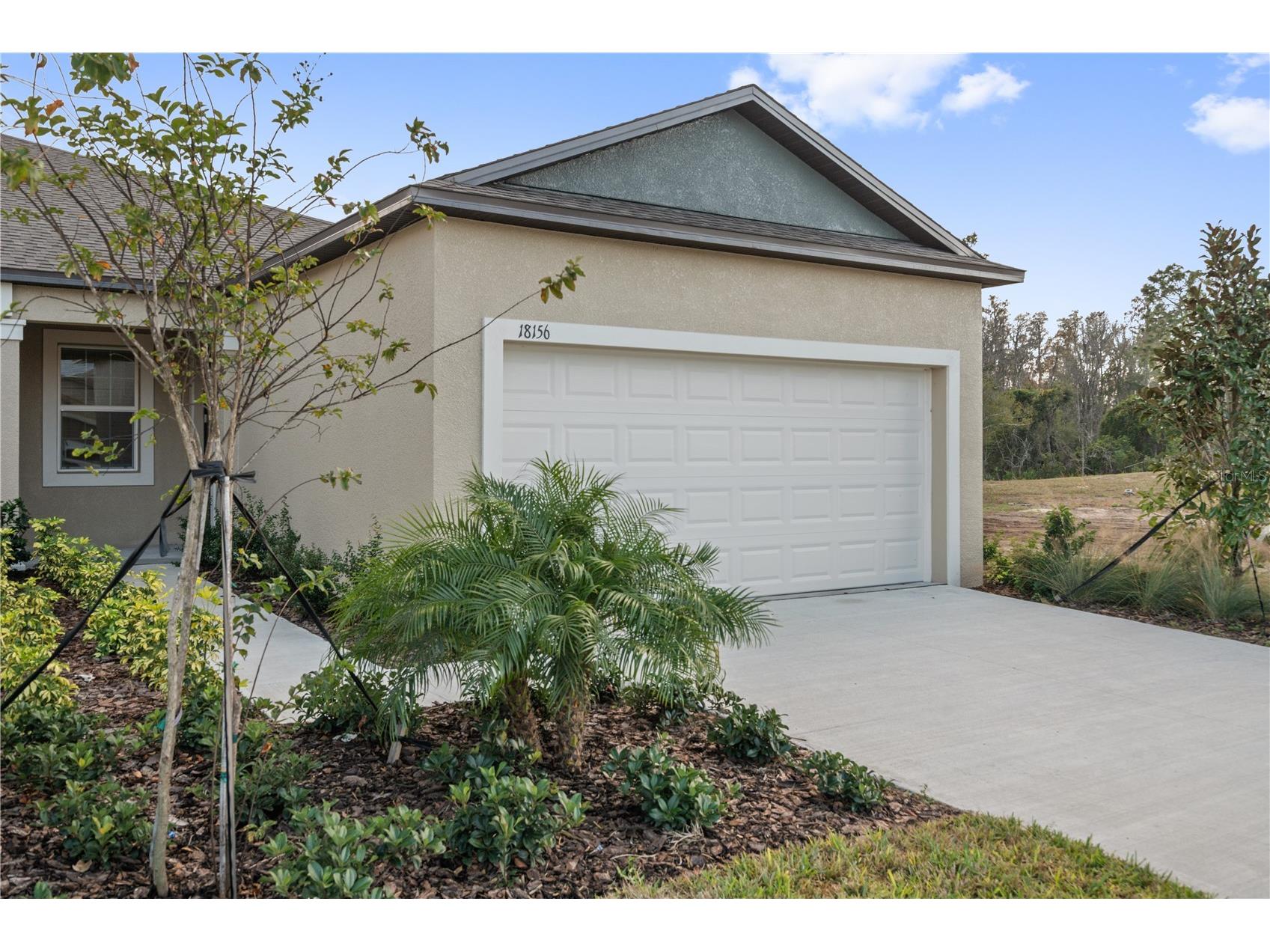 18156 Pleasantview Boulevard Land O Lakes FL 34638 TB8487116 image2