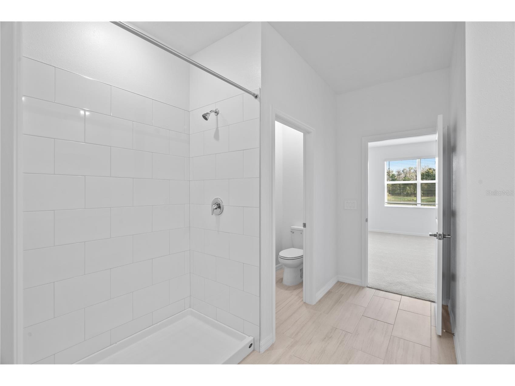 18156 Pleasantview Boulevard Land O Lakes FL 34638 TB8487116 image27