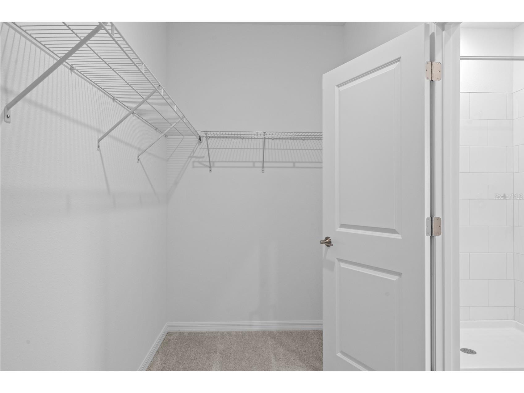 18156 Pleasantview Boulevard Land O Lakes FL 34638 TB8487116 image29