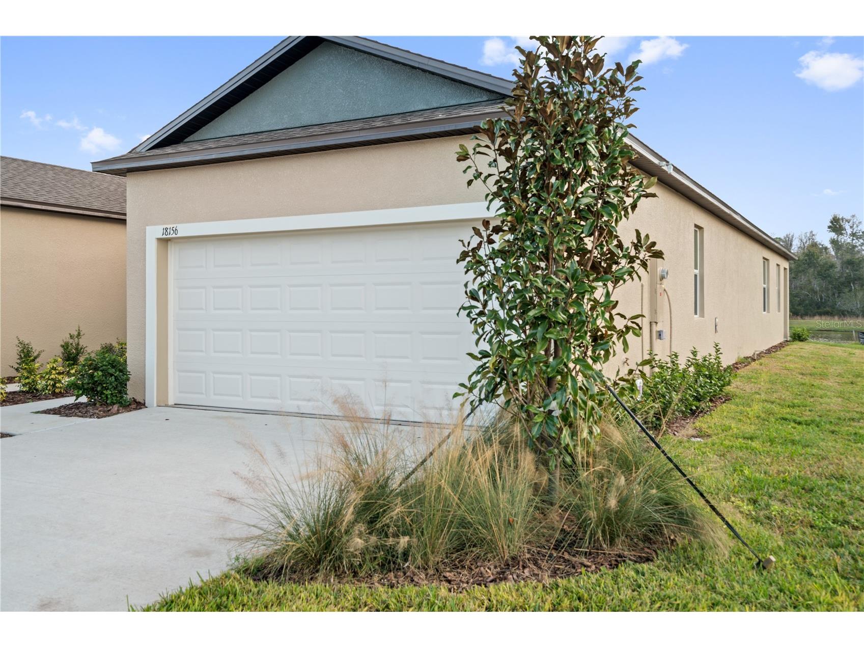 18156 Pleasantview Boulevard Land O Lakes FL 34638 TB8487116 image3