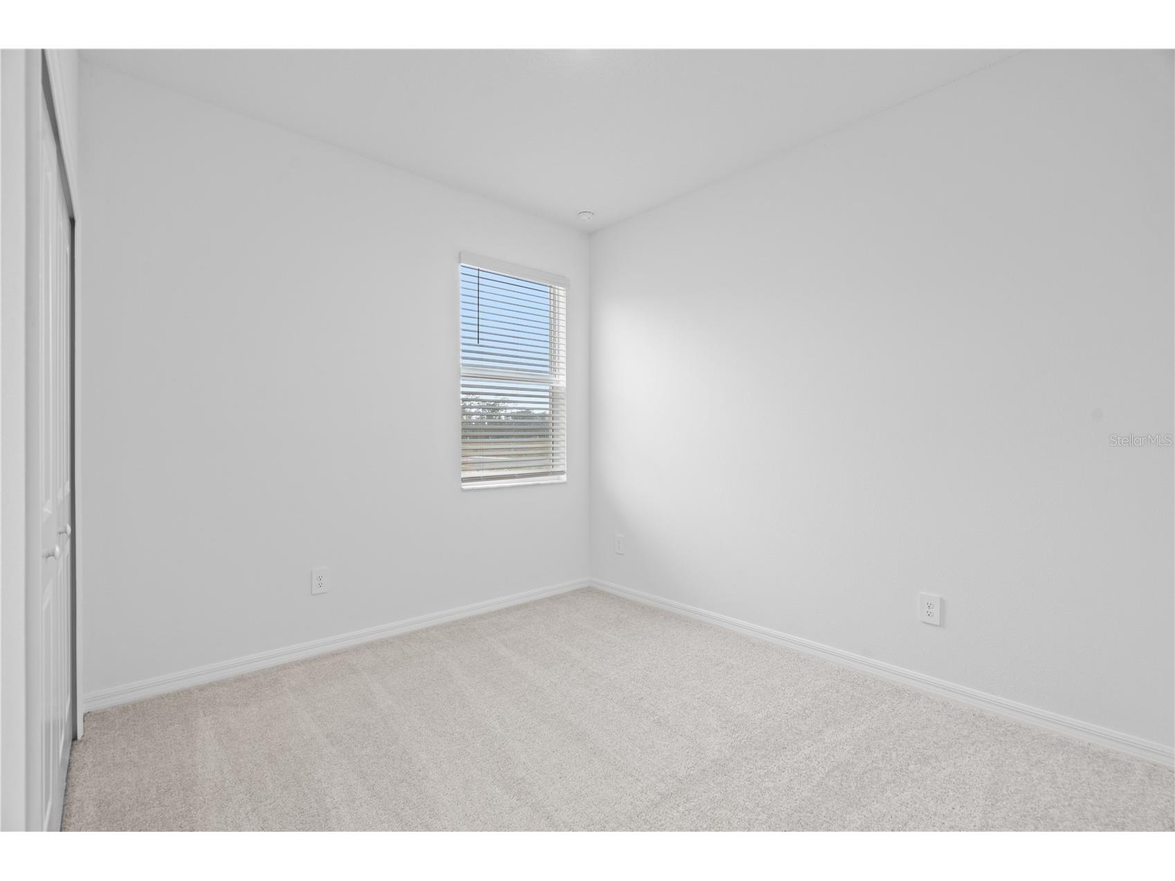 18156 Pleasantview Boulevard Land O Lakes FL 34638 TB8487116 image8