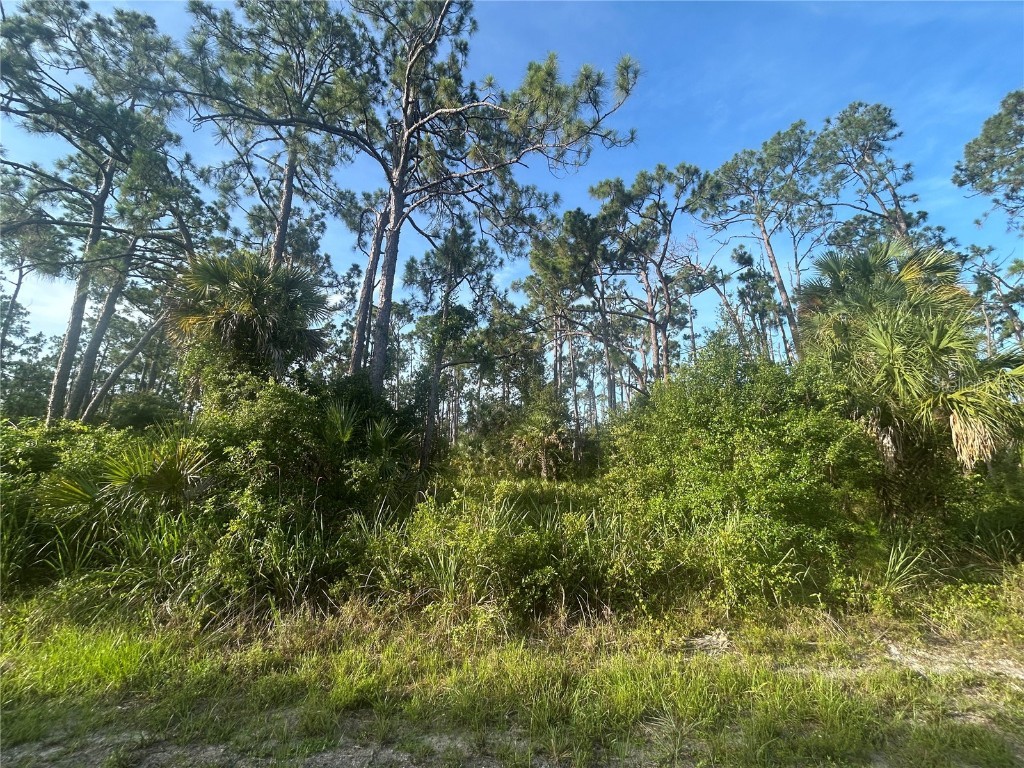 18157 Wakashan Avenue Port Charlotte FL 33948 C7512419 image3