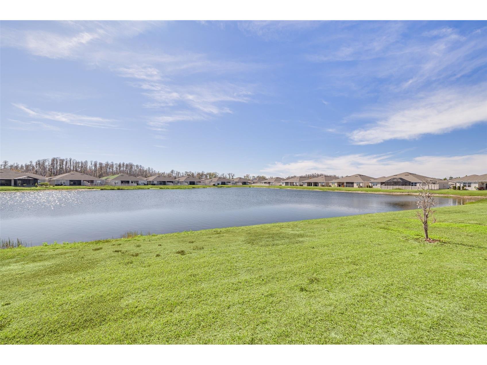 18158 Turning Leaf Circle Land O Lakes FL 34638 TB8467907 image27
