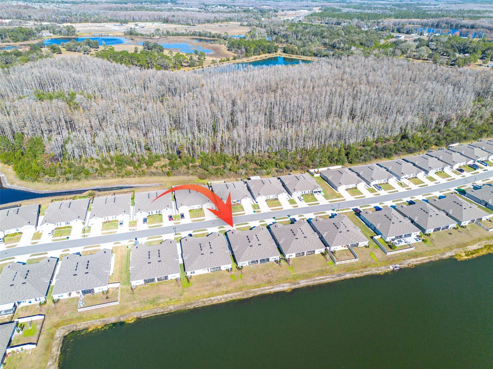 18158 Turning Leaf Circle Land O Lakes FL 34638 TB8467907 image30