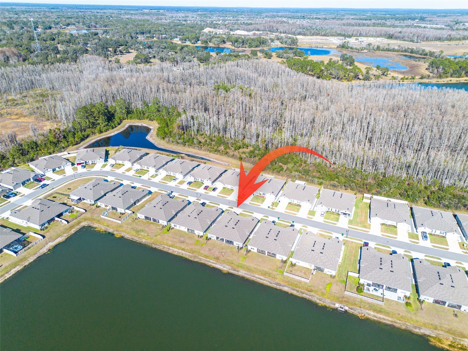 18158 Turning Leaf Circle Land O Lakes FL 34638 TB8467907 image31