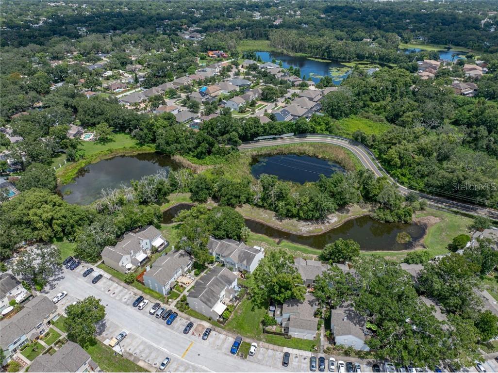 1816 Mill Run Circle Tampa FL 33613 TB8435247 image35