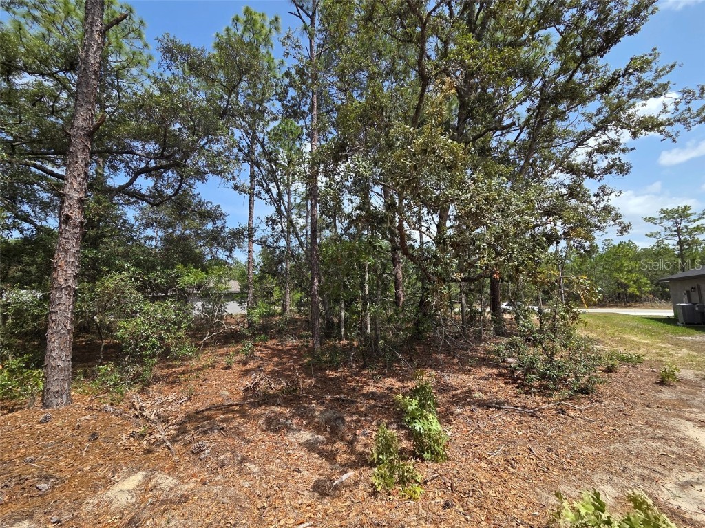 1816 W Hampshire Boulevard Citrus Springs FL 34434 TB8392311 image3