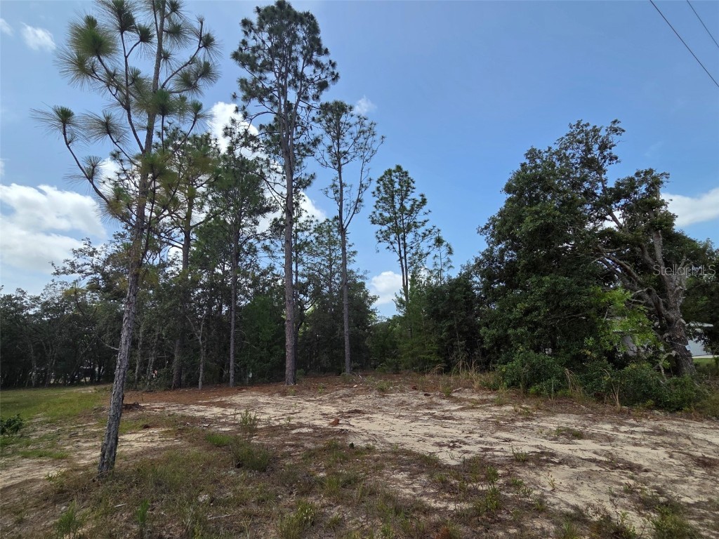 1816 W Hampshire Boulevard Citrus Springs FL 34434 TB8392311 image4