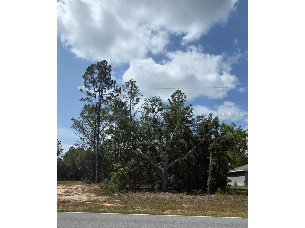 1816 W Hampshire Boulevard Citrus Springs FL 34434 TB8392311 image5