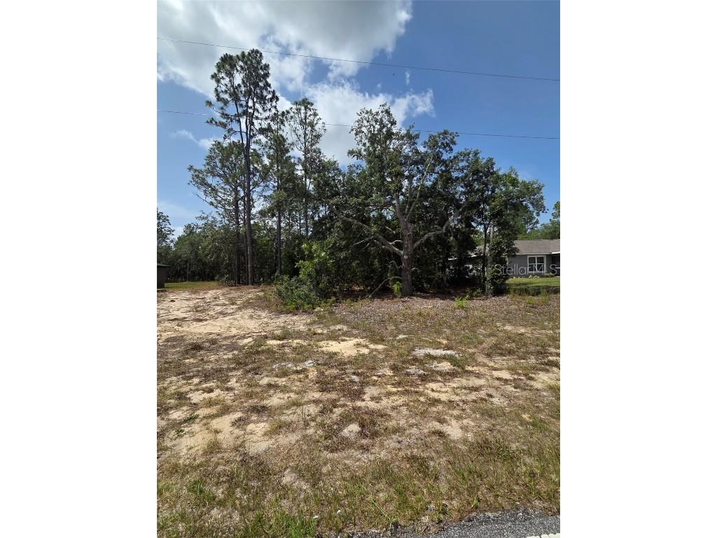 1816 W Hampshire Boulevard Citrus Springs FL 34434 TB8392311 image6