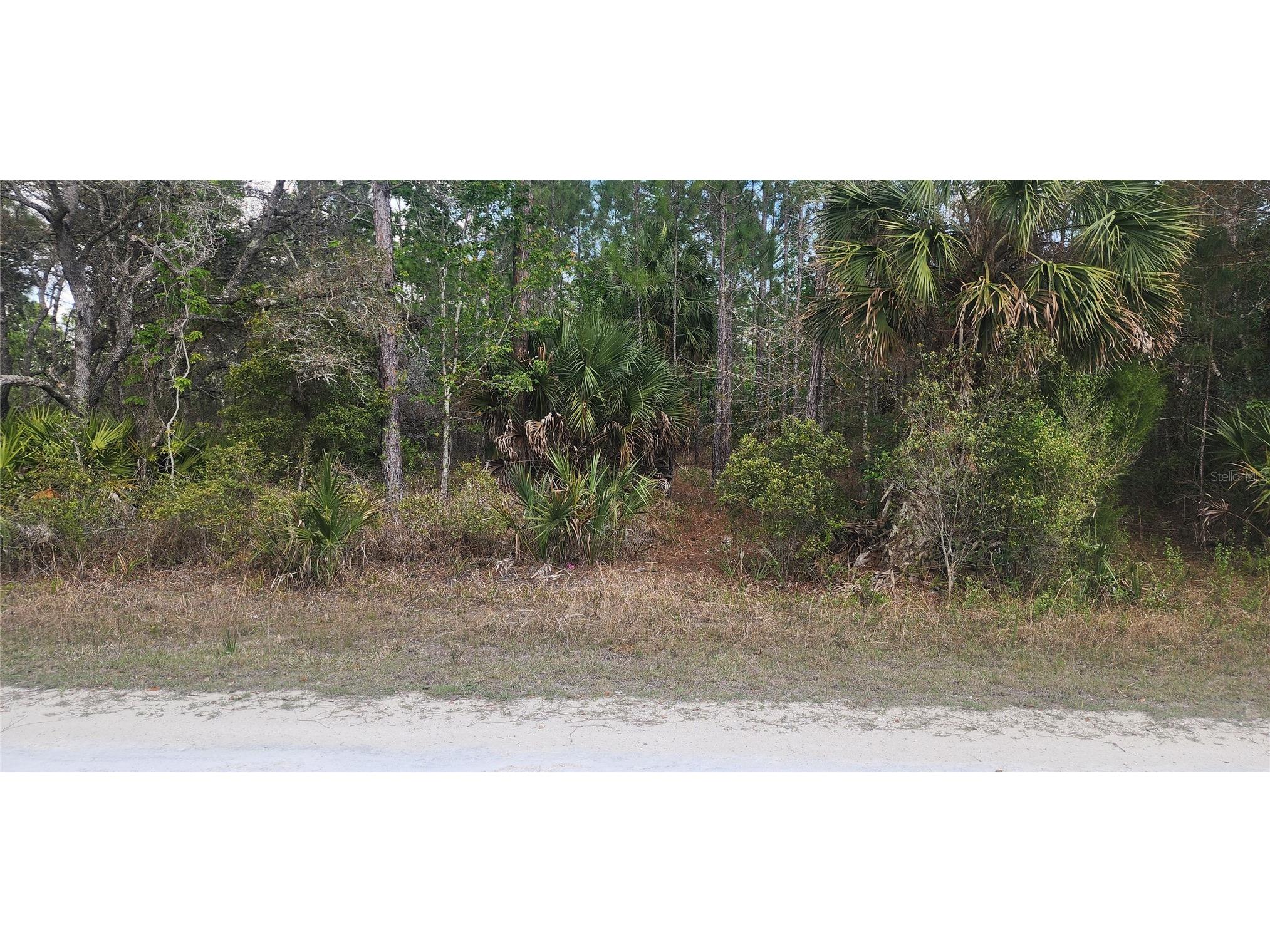 18164 Retriever Road Weeki Wachee FL 34614 TB8532134 image1