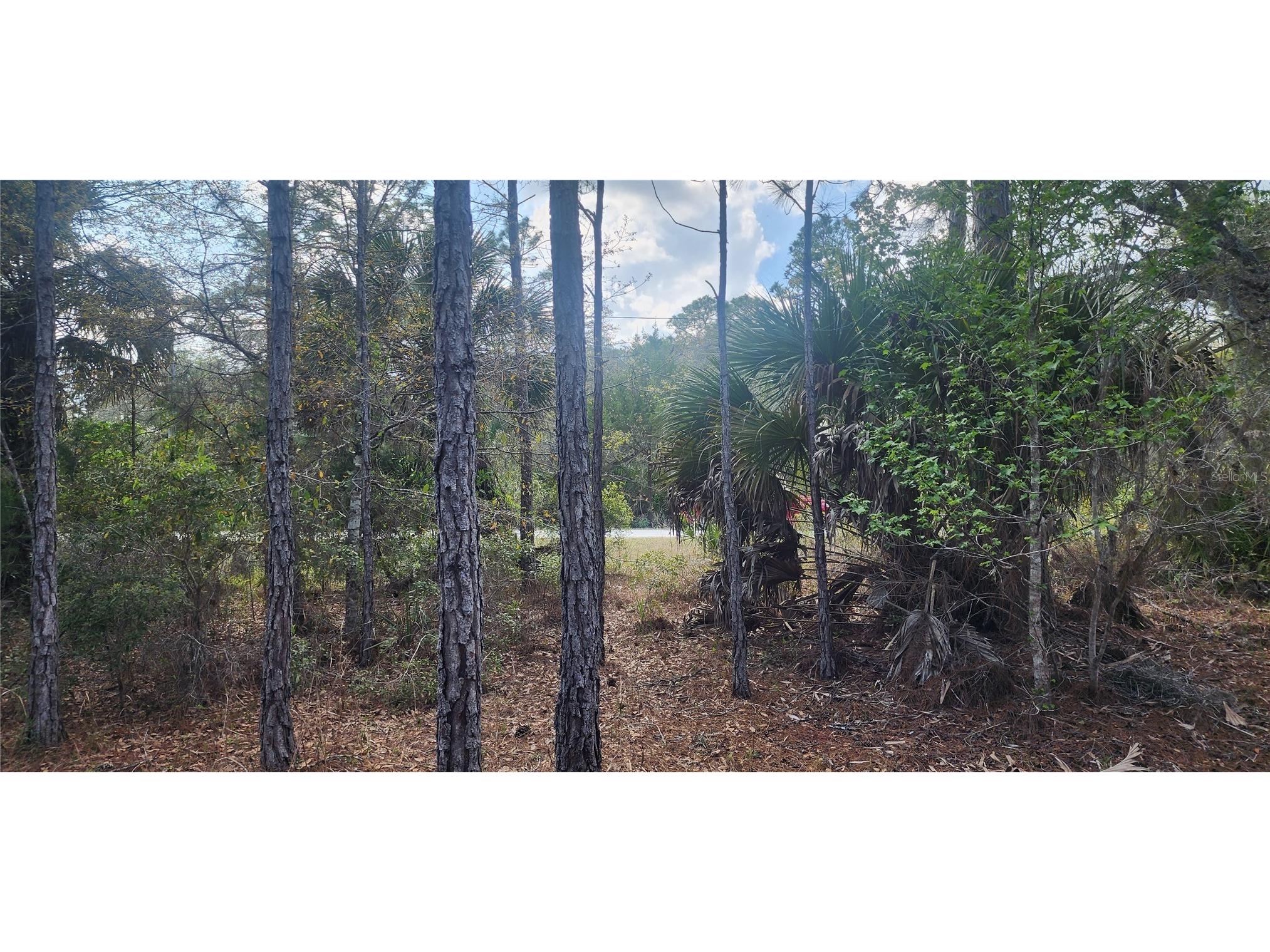 18164 Retriever Road Weeki Wachee FL 34614 TB8532134 image2