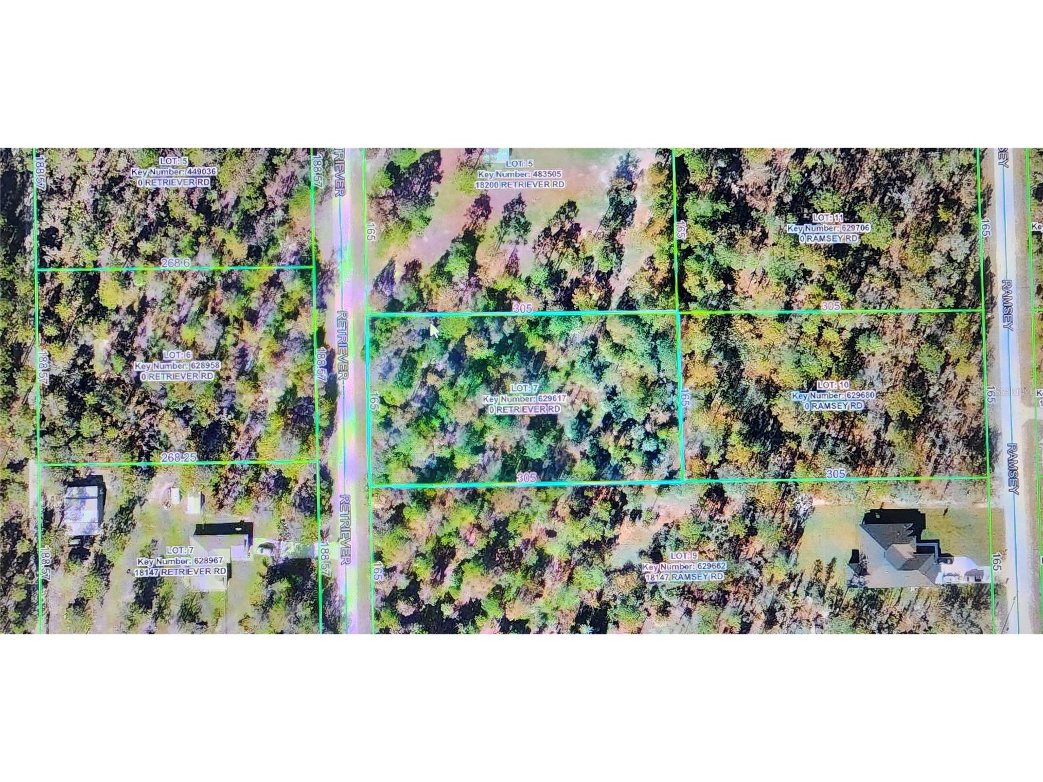 18164 Retriever Road Weeki Wachee FL 34614 TB8532134 image4