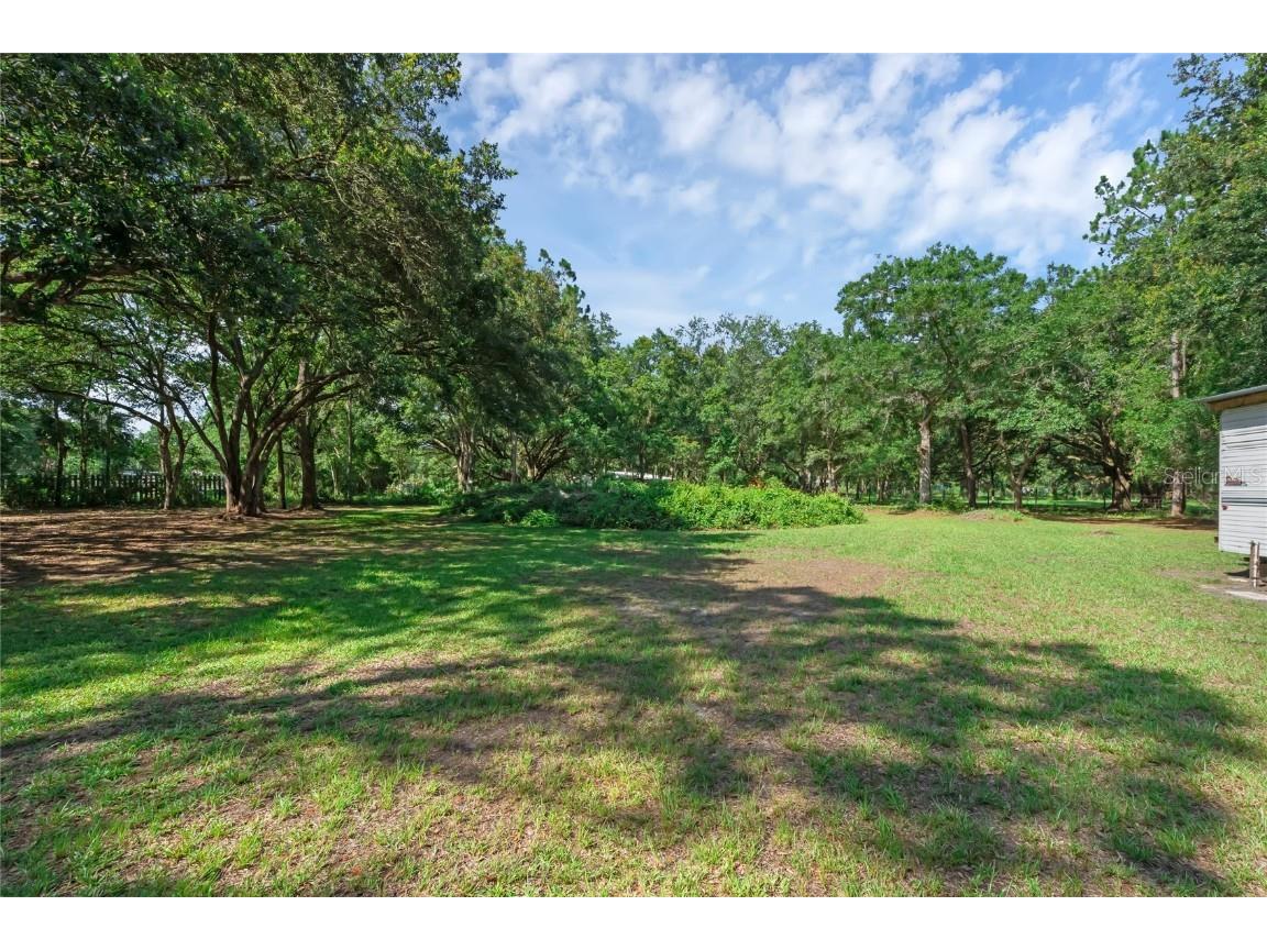 18166 Lynbrook Road Orlando FL 32820 O6318211 image43